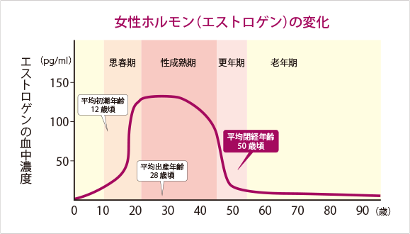 女性ホルモン(エストロゲン)の変化