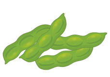 エンドウ豆