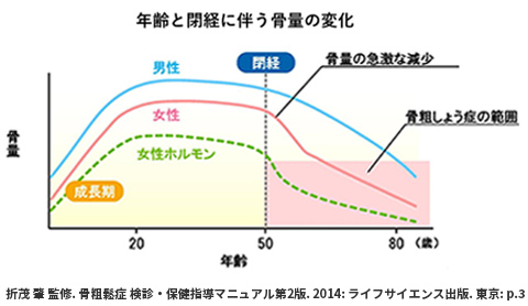 年齢と閉経に伴う骨量の変化