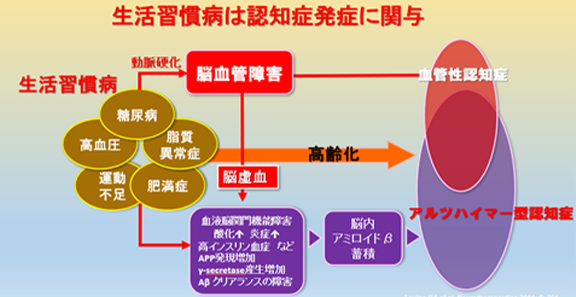 図11 生活習慣病は認知症の発症に関与