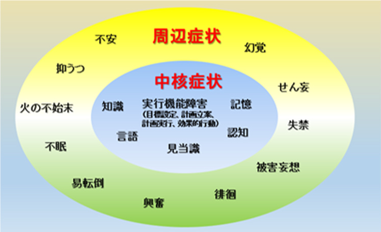 図12 認知症の中核症状と周辺症状