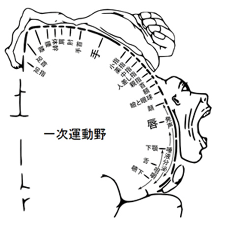 ペンフィールドの地図